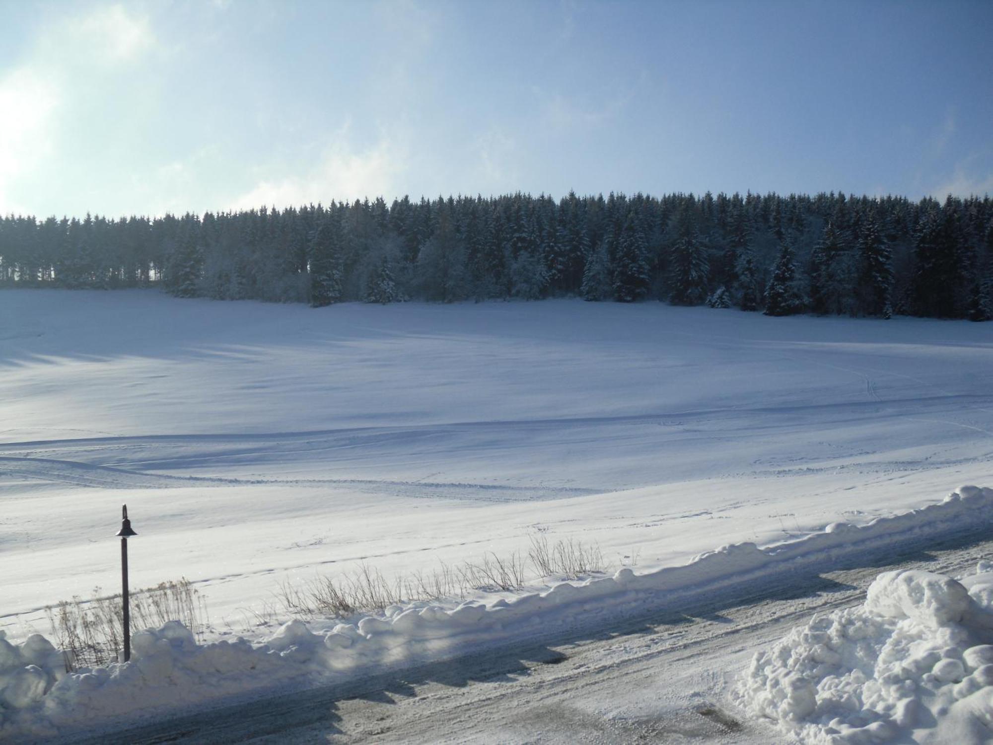 Apartment Sonnenschein Braunlage Zewnętrze zdjęcie